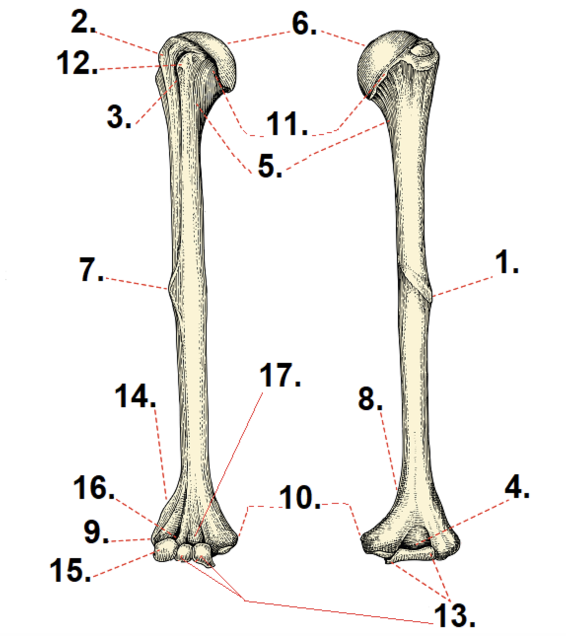 <p>1</p>