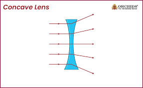 <p>Thinner in the centre than the edges </p><ul><li><p>diverges light rays</p></li></ul><p></p>