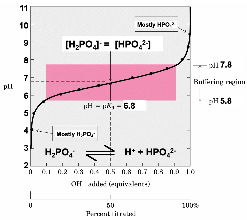 <p>[HA] = [A-]</p><p>pH = pKa</p>