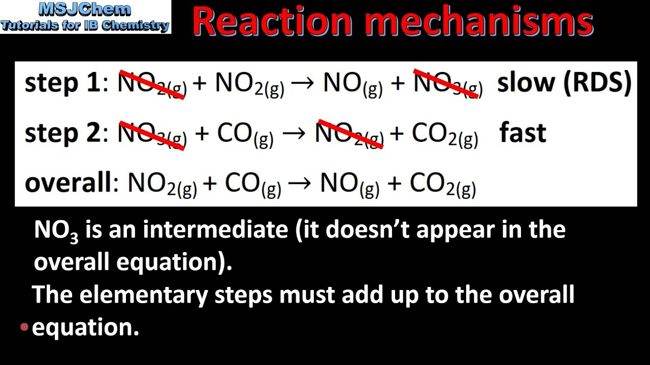 <p>in the image which is the intermediate</p>