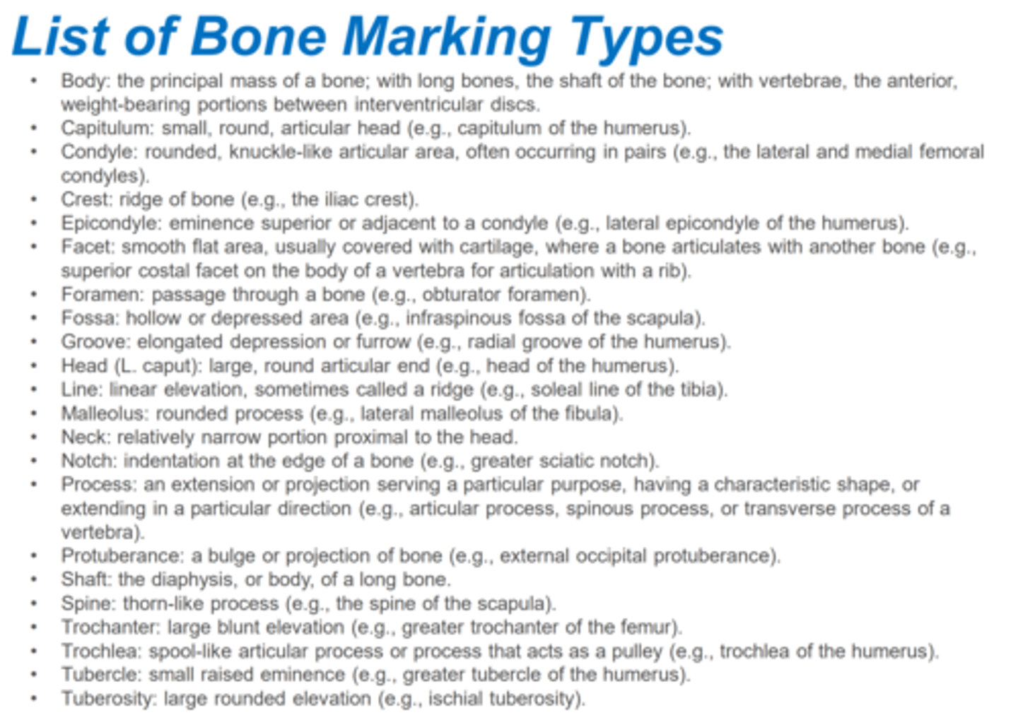 <p>reveal where muscles, tendons, ligaments, and fascias were attached and where blood vessels and nerves passed.</p>