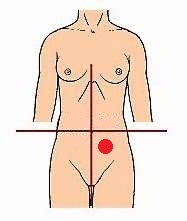 <p>identify the region of the abdomen:</p>