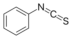 <p>Edman reagent for?</p>