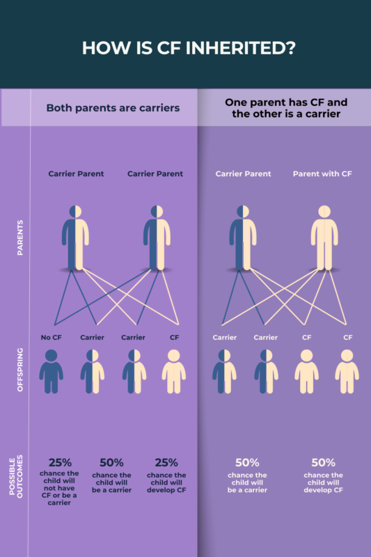 <p>An autosomal recessive disorder; both parents must be carriers for a child to be affected.</p>