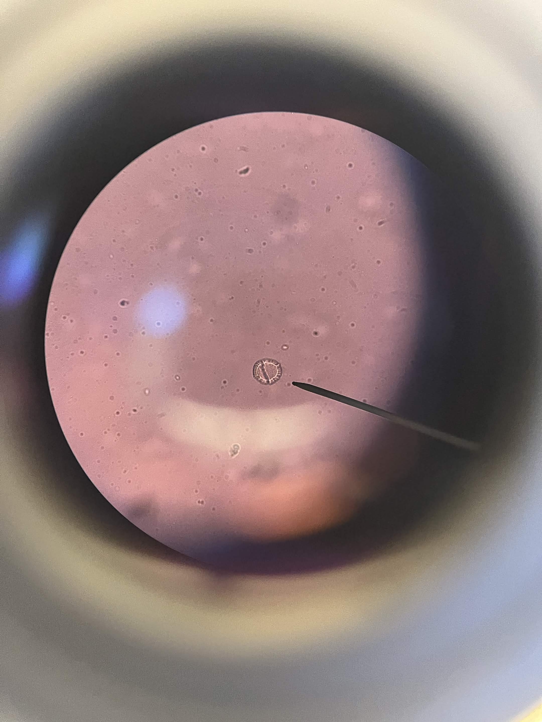 <p>What is this?</p>