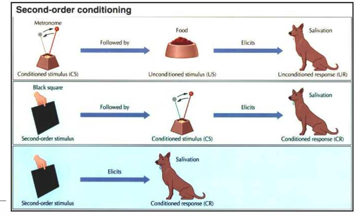 <p>also called second order conditioning is the phenomenon by which a neutral stimulus is paired with a conditioned stimulus which already elicits a conditioned response </p>