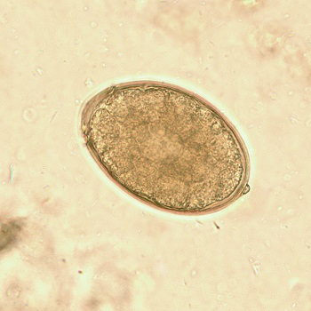 <p>What is this?</p>