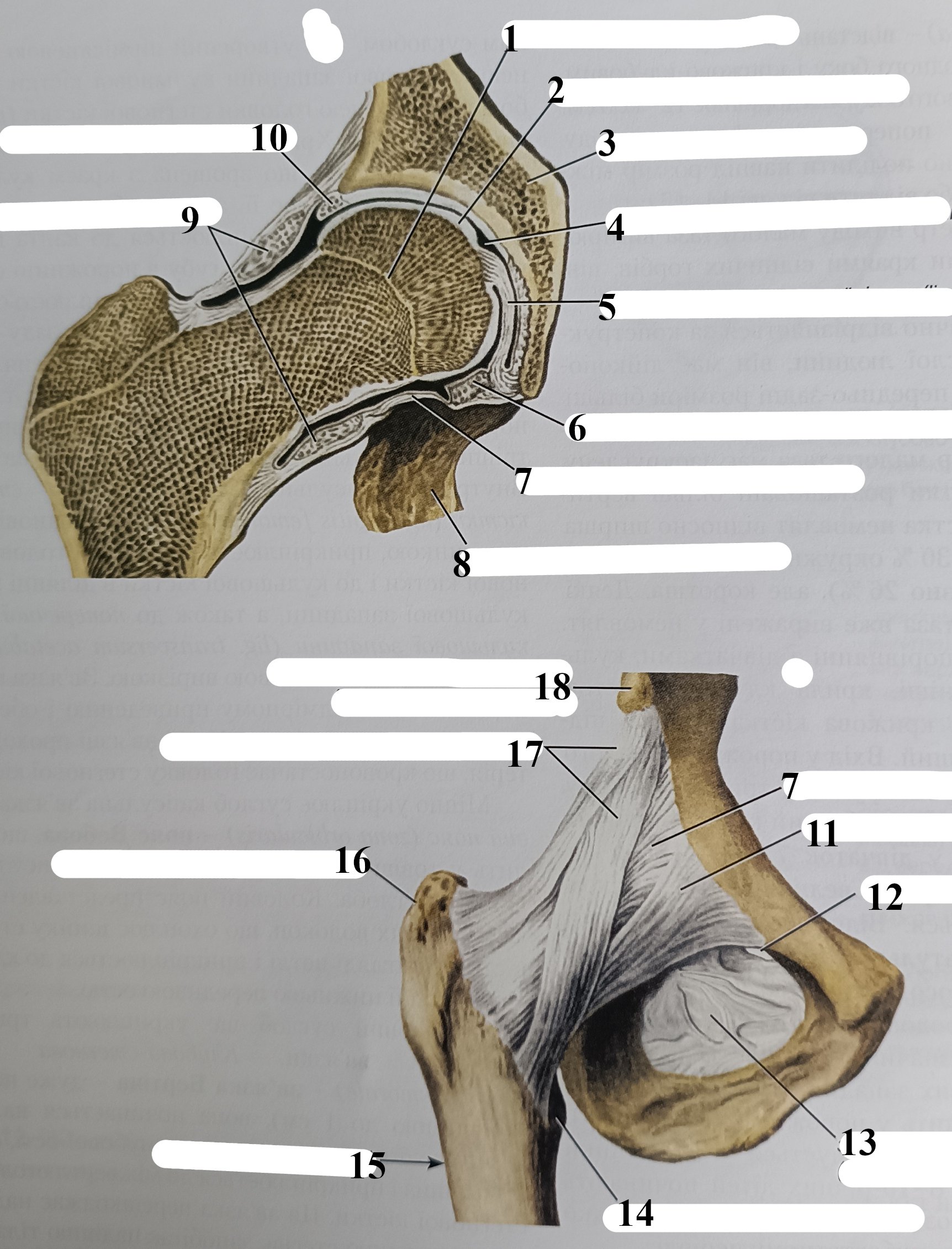 <p>5</p>