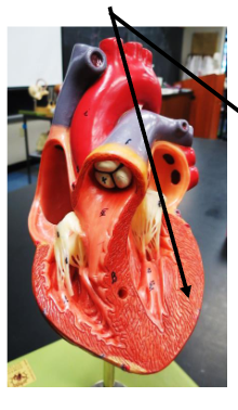 <p>What is this? </p>