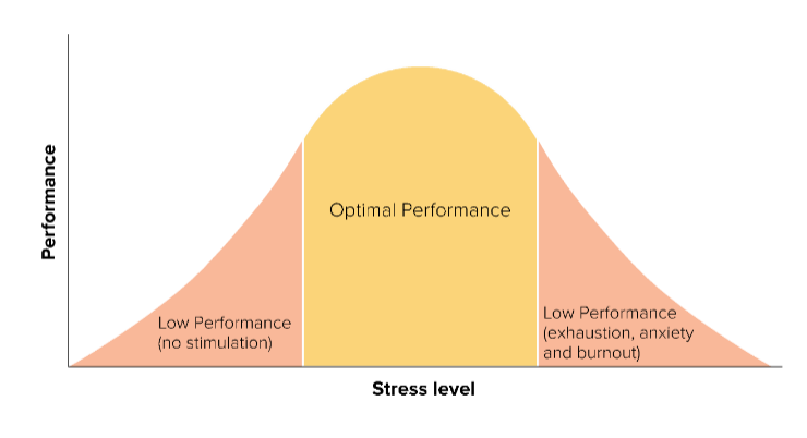 <ul><li><p>Physiological</p><ul><li><p> backaches, headaches, sweaty palms, nausea</p></li></ul></li><li><p>Psychological</p><ul><li><p>boredom, irritability, nervousness, anger, anxiety, depression</p></li></ul></li><li><p>Behavioral</p><ul><li><p>sleeplessness, changes in eating habits, increased smoking/alcohol/drug abuse</p></li></ul></li><li><p>Consequences</p><ul><li><p>Burnout</p><ul><li><p>state of emotional, mental, and even physical exhaustion</p></li><li><p>exhaustion: lack of energy, feeling depleted, worn out, and debilitated</p></li><li><p>depersonalization: detaching from one’s job, negative attributes toward work </p></li><li><p>inefficacy: feeling unable to do job well </p></li><li><p>feeling “awalys on”</p></li></ul></li></ul></li></ul><p></p>