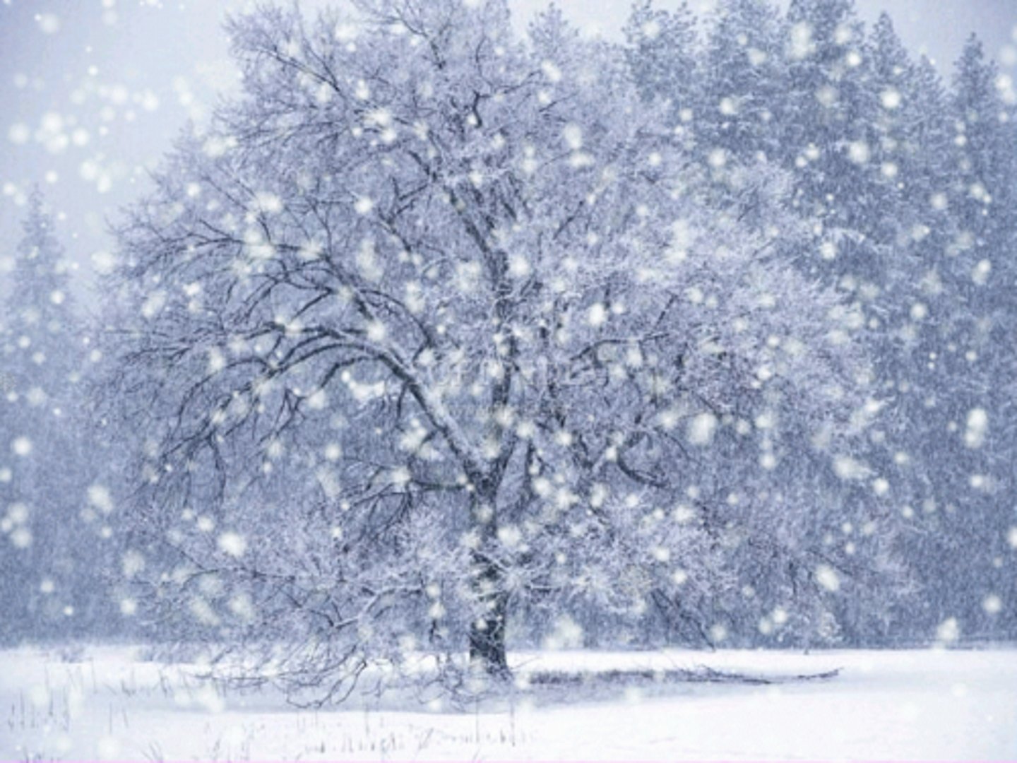 <p>caer nieve</p>
