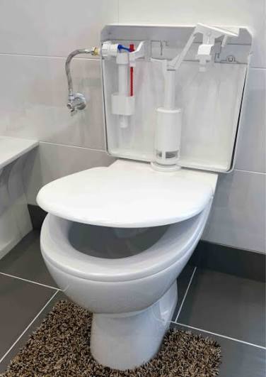 term image