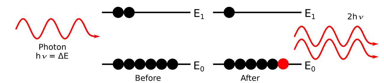 <p>resulting photons are exactly in phase so they add</p>