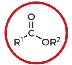 <p>What is this?</p>