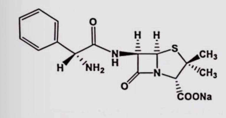 <p>DCI</p><p>Biodisponibilité</p><p>Classe thérapeutique</p>