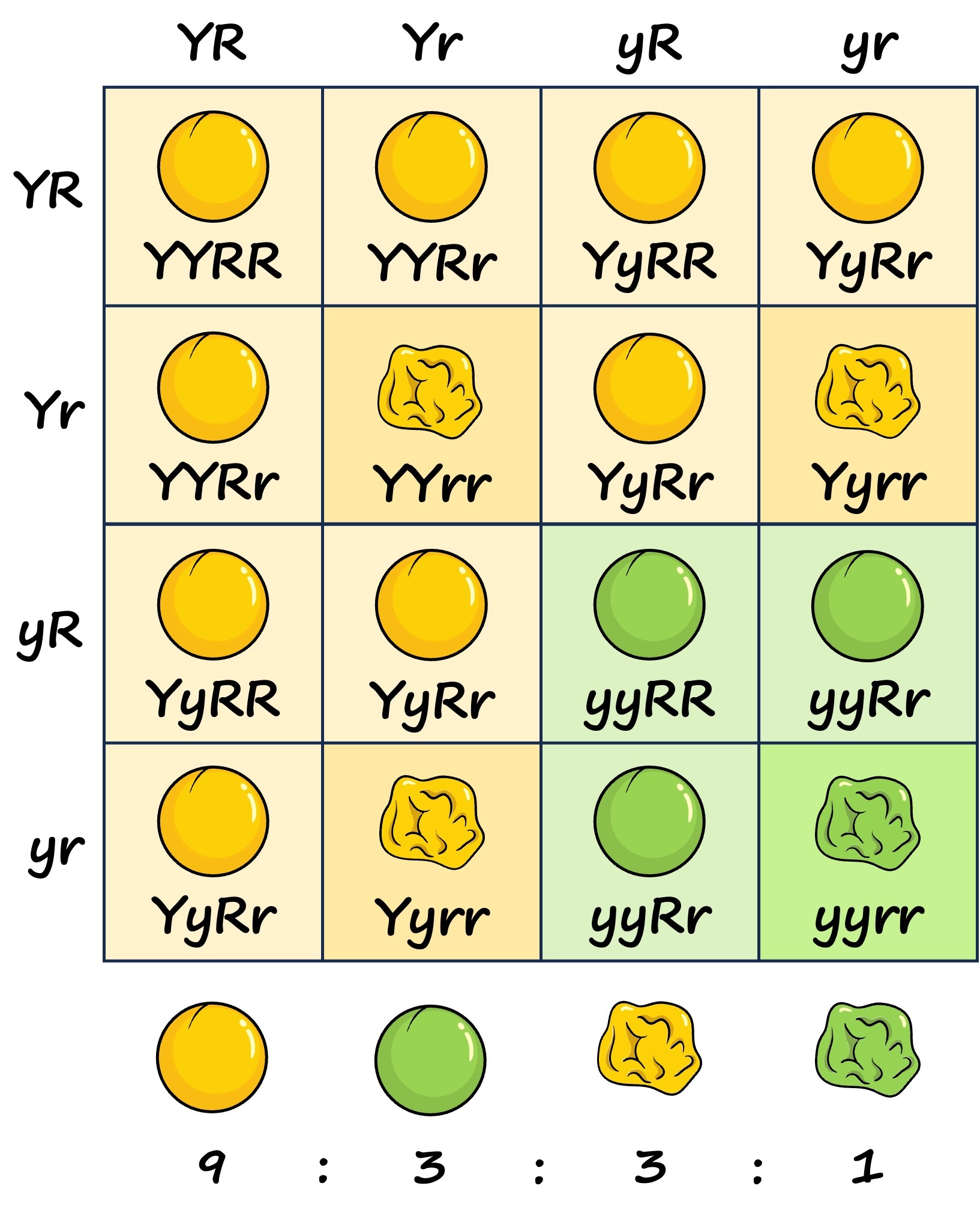<p>like mono but with an additional trait</p>