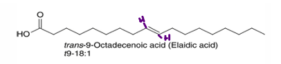 <p>double bond has hydrogens on opposite sides (creates linear structure)</p>