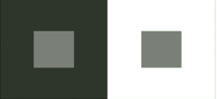 <p>the phenomenon where the center square on the left appears brighter, even though the two center squares are the same color</p>