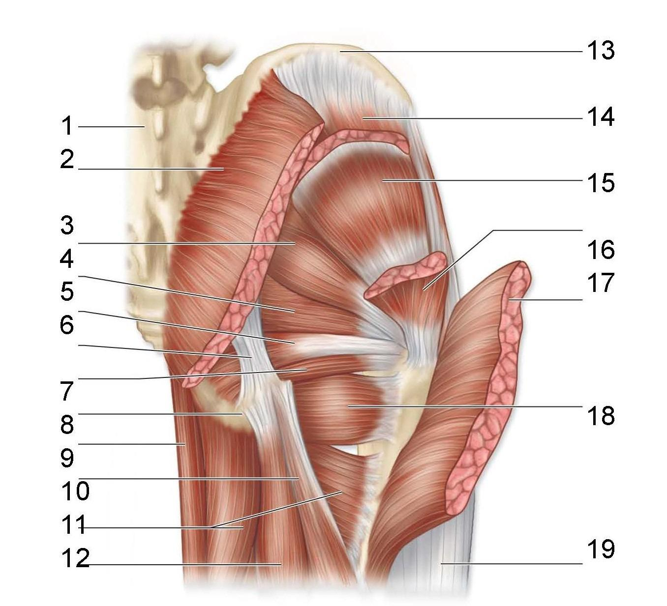 <p>What is identified in the photo 3,4,5,7,9,10,11,12,15,18,19</p>