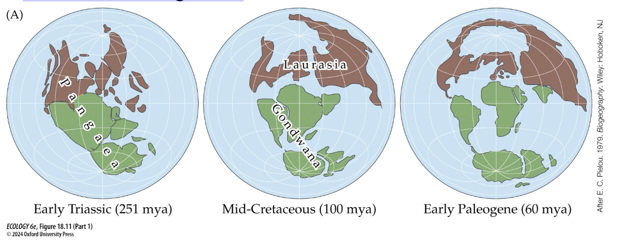 <p><span style="color: rgb(0, 0, 0);">Need to consider Earth’s history when interpreting modern day distributions of organisms</span></p>