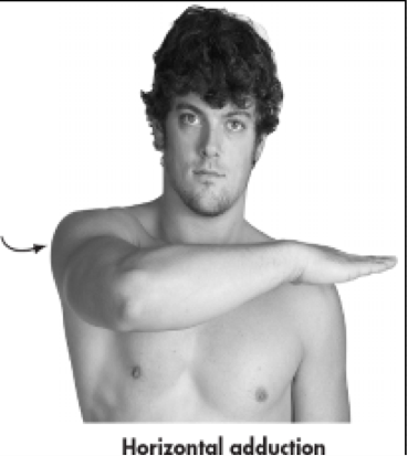 <p>Movement of humerus in a horizontal or transverse plane toward and across chest </p><p>Transverse Plane</p>