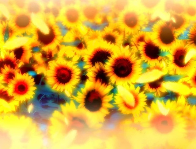 <p>hibbert tries to shirk responsibility</p>