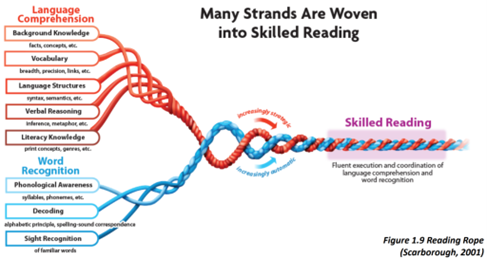 <p>involves many more interwoven reading skills </p><ul><li><p>expansion of SVoR</p></li></ul><p>better guidance for educators </p>