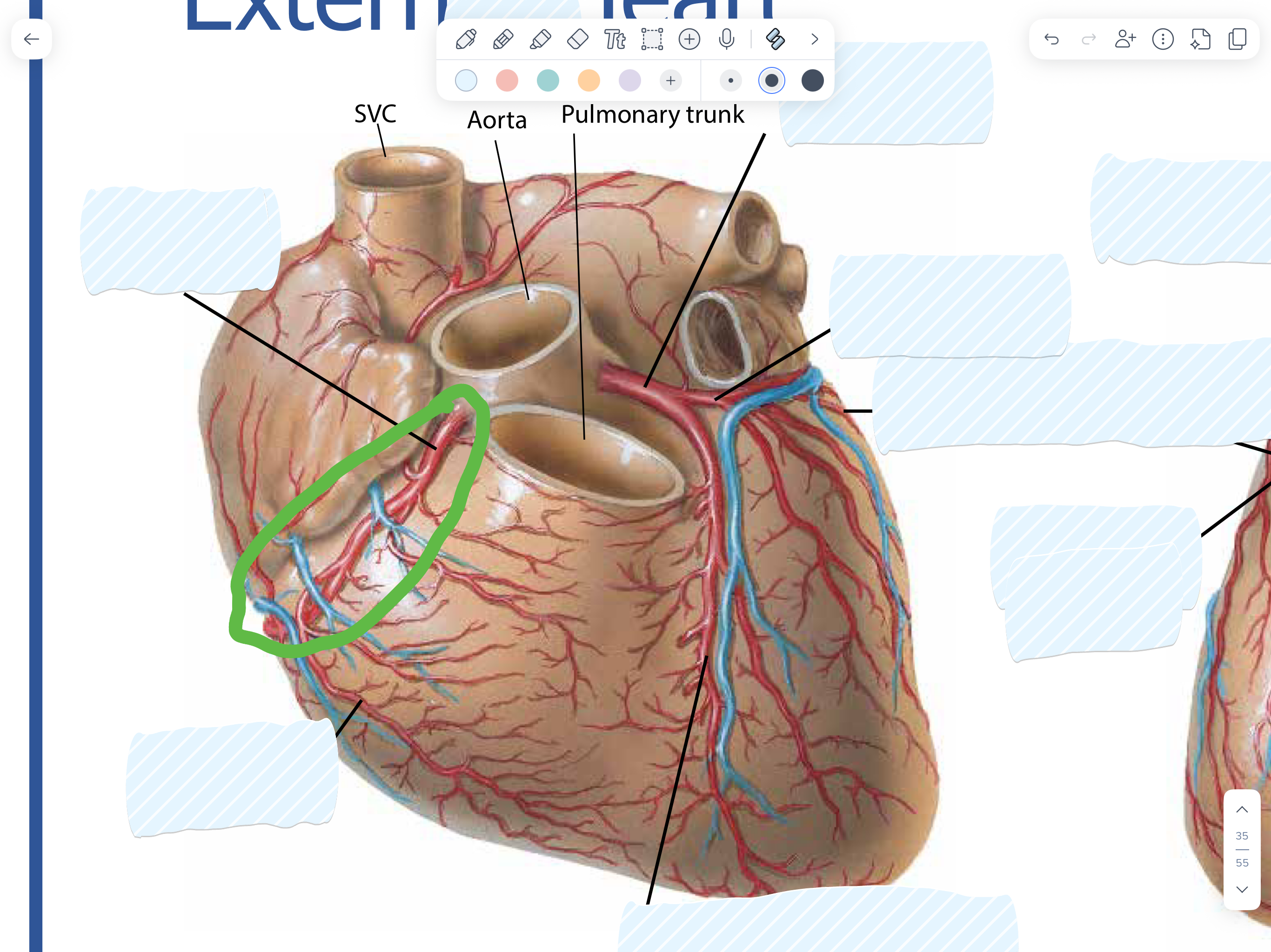 knowt flashcard image