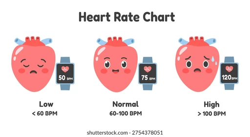 <p>How does the autoimmune nervous system modify <strong>heart rate</strong>?</p>