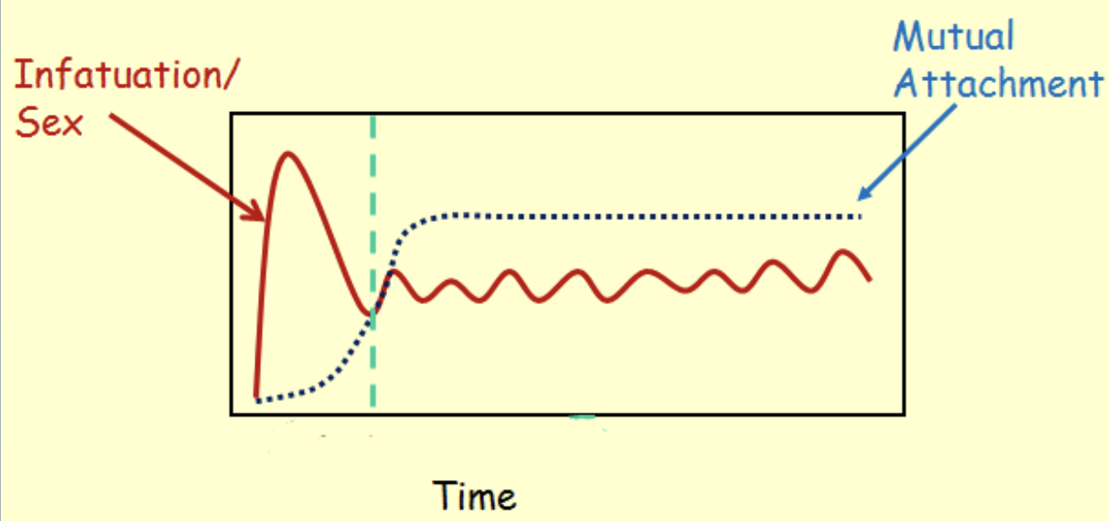 <p>Underlying neurochemistry of dopamine &amp; opiate for romantic infatuation? (L17)</p>