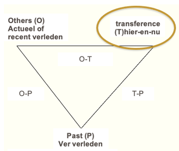 <p>Malan</p><ol><li><p>verleden (P)</p></li><li><p>actuele anderen (O) </p></li><li><p>overdracht (T) </p></li></ol><ul><li><p>verschuivingen </p></li></ul><p></p>
