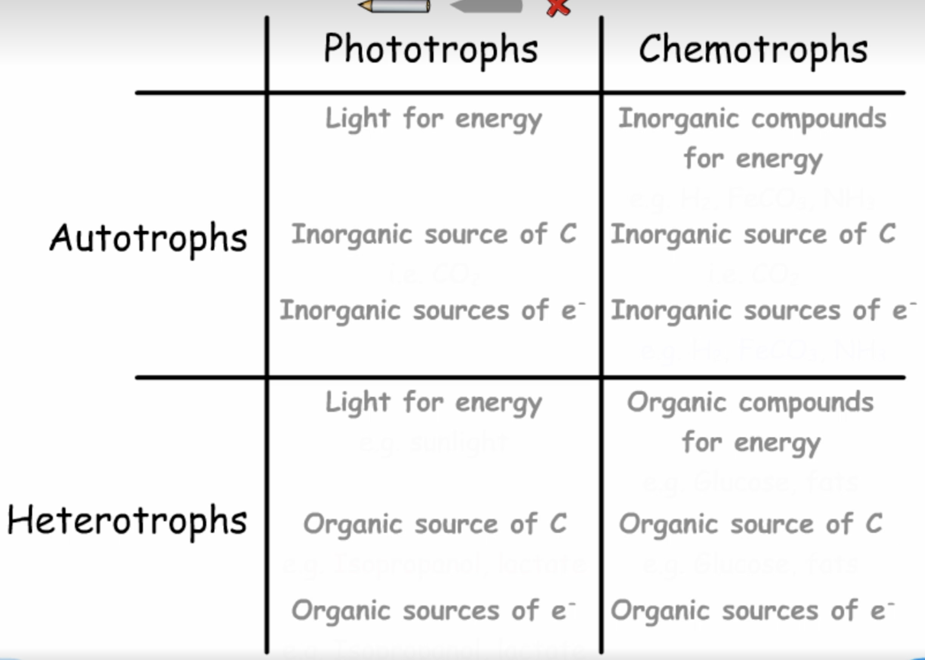 knowt flashcard image