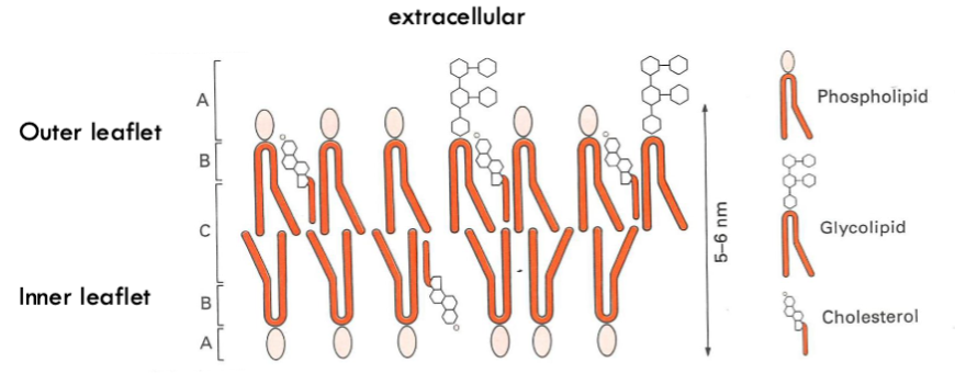 <p>What are the different areas in this diagram?</p>