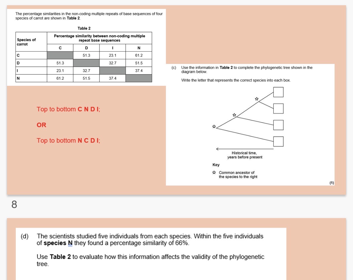<p>Answer question D</p>