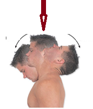 <p>Increasing the angle between body parts.</p>