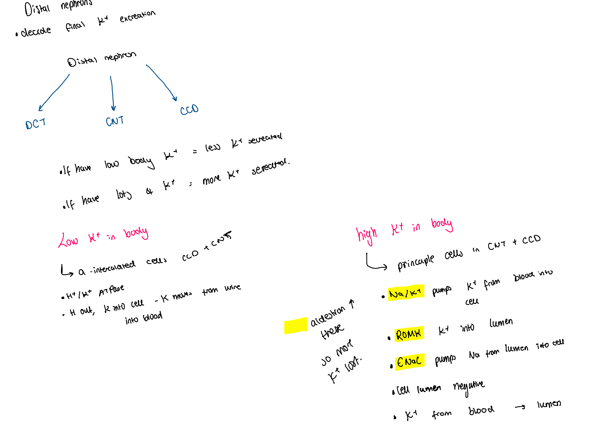 knowt flashcard image