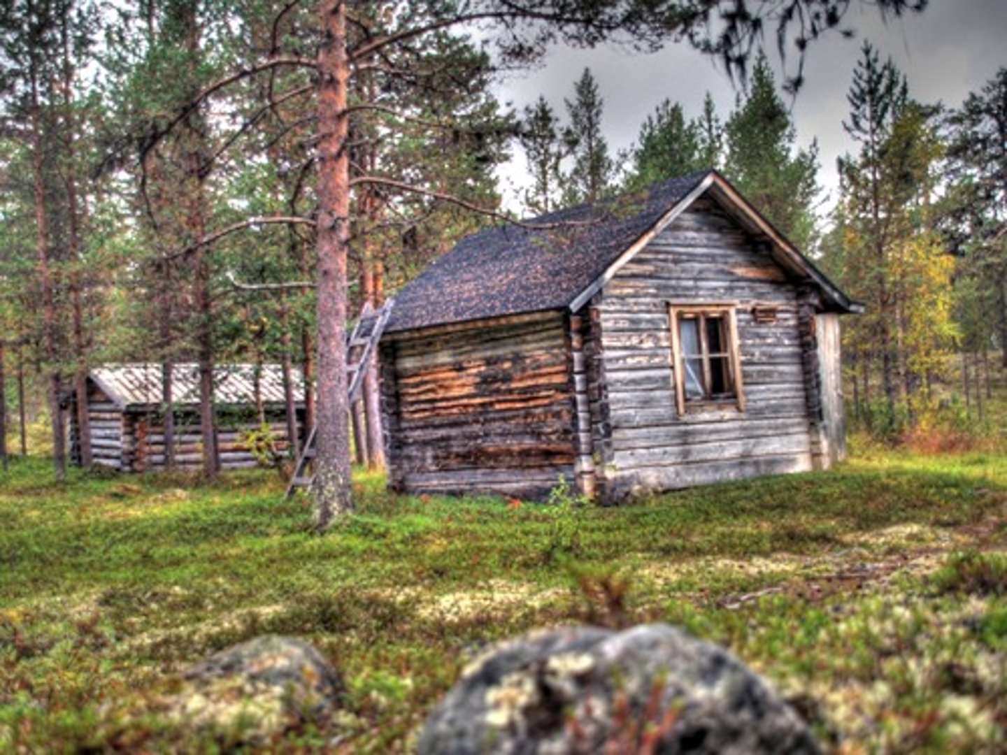 <p>cabin, hut</p>