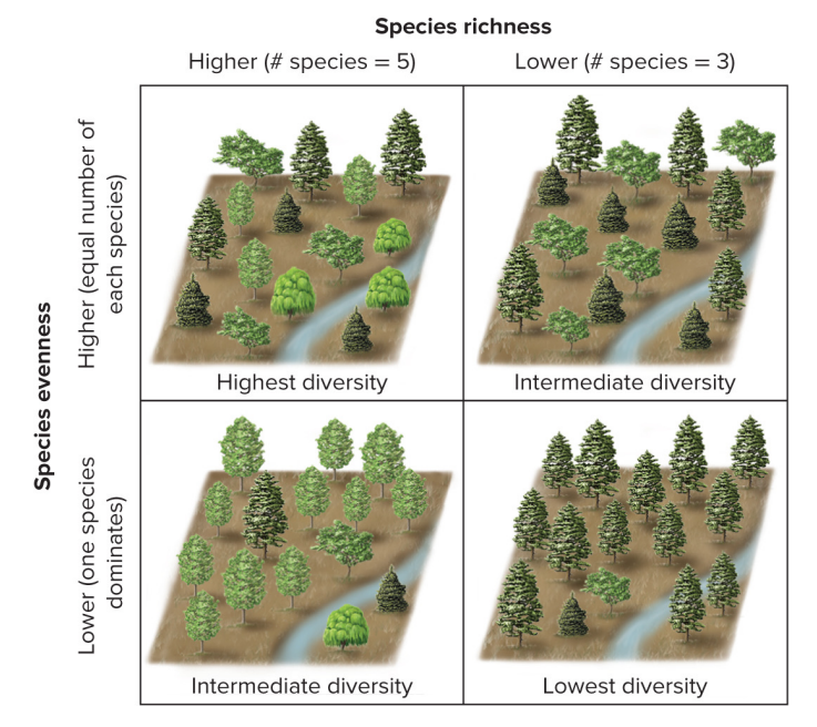 <p>Biodiversity </p>