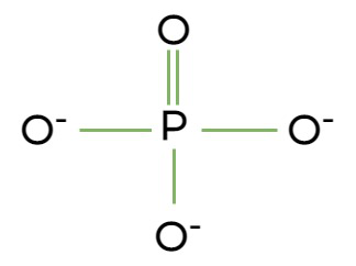 <p>Is phosphate acidic or basic?</p>