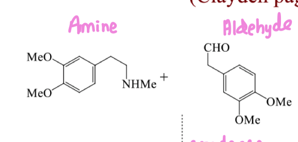 <p>draw the mechanism of pictet spengler reaction</p>