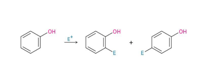 <p>Phenol strongly <strong>activates the benzene ring</strong> because the oxygen donates electron density through resonance. As a result:</p><ul><li><p>Electrophilic aromatic substitution happens more easily.</p></li><li><p>New groups usually go to the <strong>ortho</strong> and <strong>para</strong> positions.</p></li></ul><p></p>