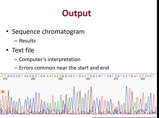 <p>You upload them into 2 files, 1 will be a graph, 1 will be just values. </p><p>Each peak qin the graph is a band from the electrophoresis passing the scanner.</p>