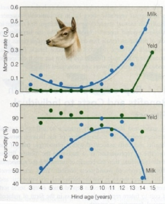 <p><span style="background-color: transparent;">What is the best age to begin reproduction for female red deer based on these figures:</span></p>