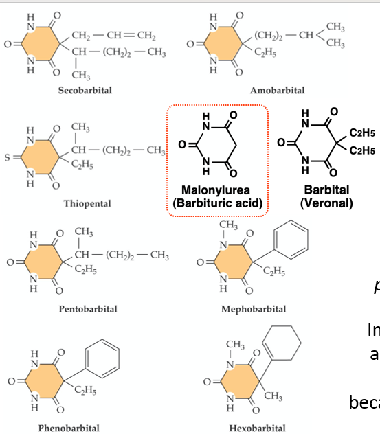 <ul><li><p>von Baeyer (1864) first made barbituric acid - foundation of all barbiturates </p></li><li><p>first drugs to be marketed:</p><ul><li><p>barbital (1903)</p></li><li><p>phenobarbital (1912)</p></li></ul></li><li><p>sedatives, anticonvulsants and anaesthetics </p></li><li><p>became widely used, still used in veterinary medicine </p></li></ul><p></p>