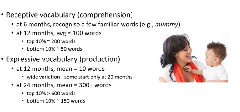 <p>Productions lags behind comprehension because comprehension is a _________ for production. 
In addition, a lot of external factors can hinder production (shyness, lack of reinforcement). So, production counts are NOT always a good estimate of known vocabulary</p>
