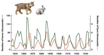<p>The synchrony of population cycles between predators and prey suggests that</p><p></p>