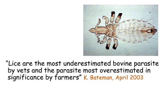 <ul><li><p>Lice are common in Ontario</p></li><li><p>They are more common on beef cattle than dairy cattle</p></li><li><p>High numbers are especially seen on young livestock</p></li><li><p>Fall treatment is preventive</p></li><li><p>Some macrocyclic lactone pour-ons are sold with a 28-day co-mingling guarantee</p></li><li><p>The slide notes that lice may be underestimated by vets but overestimated in significance by farmers</p></li></ul><p></p>