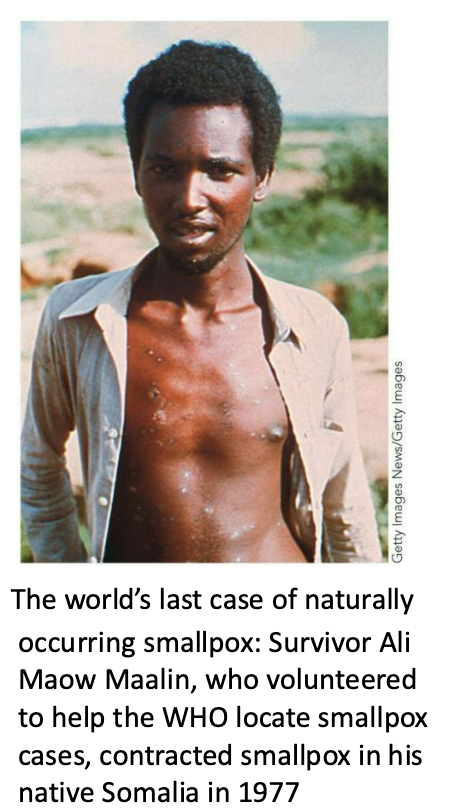 <ul><li><p>Fast-forward 150 years, and technology had improved enough for a concerted global vaccination effort.</p><ul><li><p>This effort was successful, eliminating smallpox in the wild.</p></li><li><p>Government research labs maintain the last known quantities of the wild virus for research purposes.</p></li></ul></li></ul><p></p>