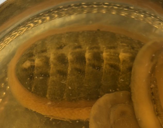 <p>What is this?</p>