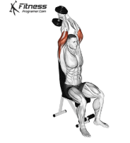 <p>What is the best tricep exercise for the long head?</p>